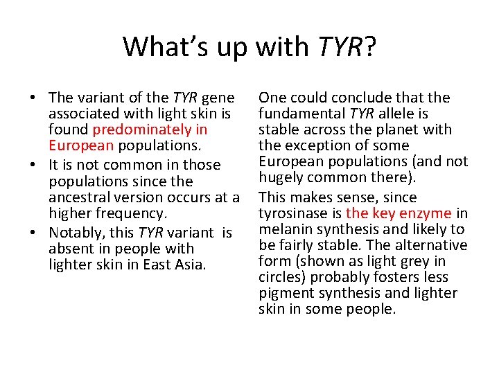 What’s up with TYR? • The variant of the TYR gene associated with light