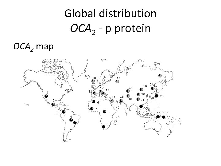 Global distribution OCA 2 - p protein OCA 2 map 