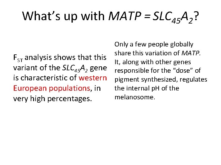 What’s up with MATP = SLC 45 A 2? FST analysis shows that this