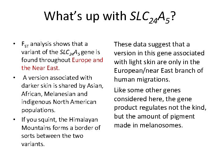 What’s up with SLC 24 A 5? • FST analysis shows that a variant