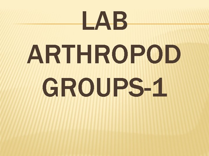 LAB ARTHROPOD GROUPS-1 