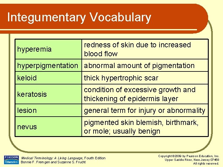 Integumentary Vocabulary hyperemia redness of skin due to increased blood flow hyperpigmentation abnormal amount