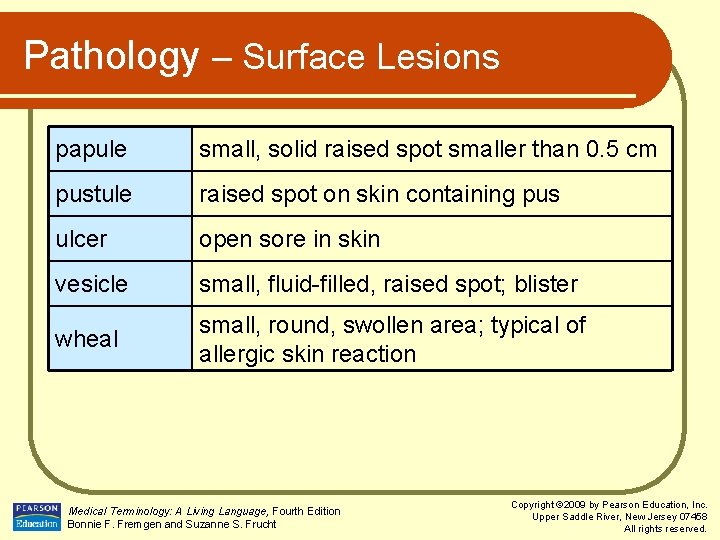 Pathology – Surface Lesions papule small, solid raised spot smaller than 0. 5 cm