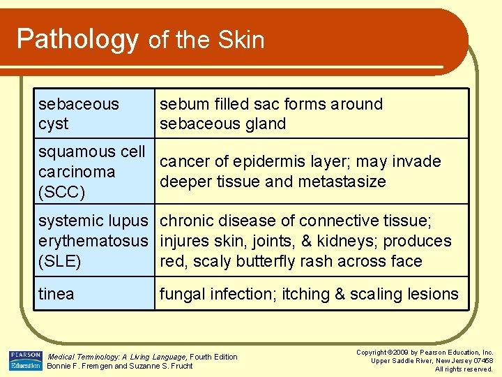 Pathology of the Skin sebaceous cyst sebum filled sac forms around sebaceous gland squamous