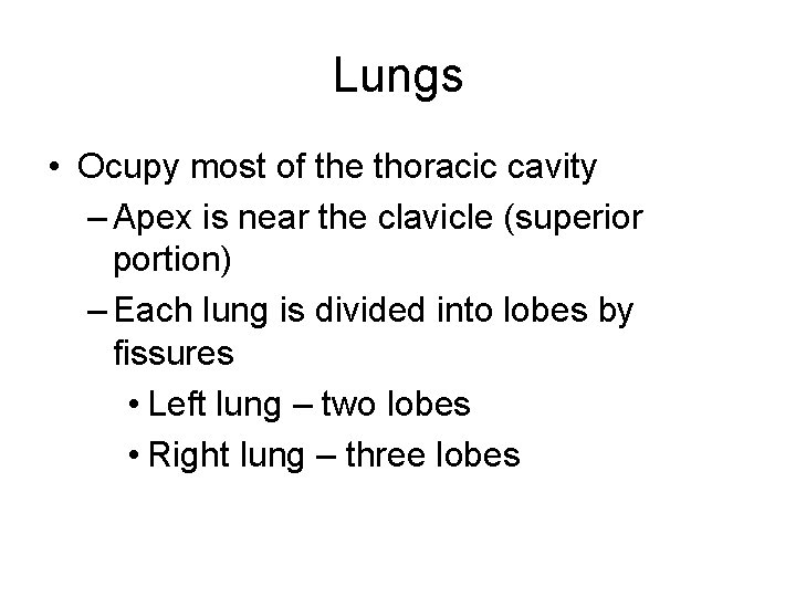 Lungs • Ocupy most of the thoracic cavity – Apex is near the clavicle
