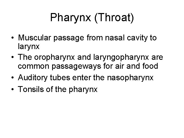 Pharynx (Throat) • Muscular passage from nasal cavity to larynx • The oropharynx and