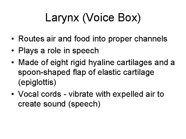 Larynx (Voice Box) • Routes air and food into proper channels • Plays a