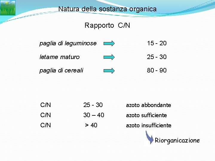 Natura della sostanza organica Rapporto C/N paglia di leguminose 15 - 20 letame maturo