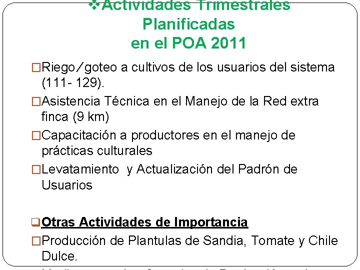 v. Actividades Trimestrales Planificadas en el POA 2011 �Riego ∕ goteo a cultivos de