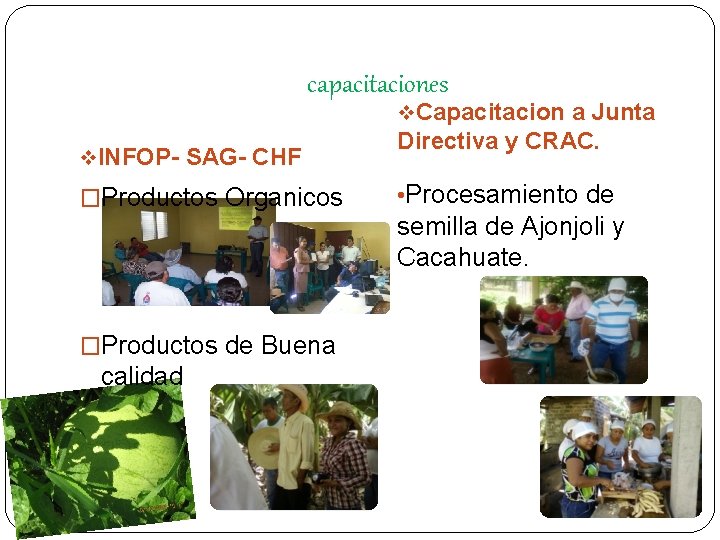 capacitaciones v. Capacitacion a Junta v. INFOP- SAG- CHF �Productos Organicos �Productos de Buena