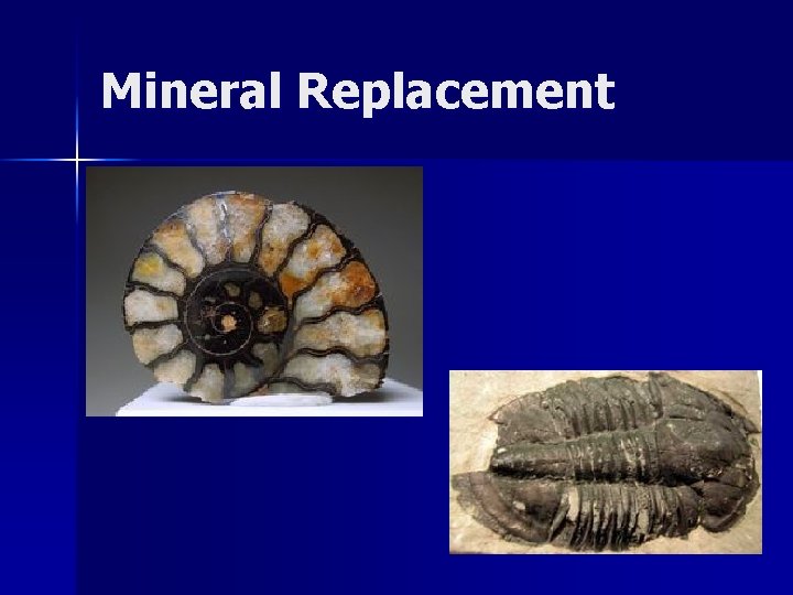Mineral Replacement 