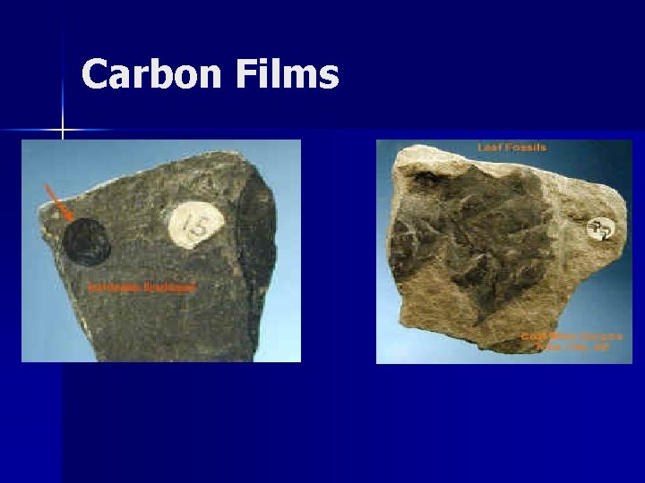 Carbon Films 