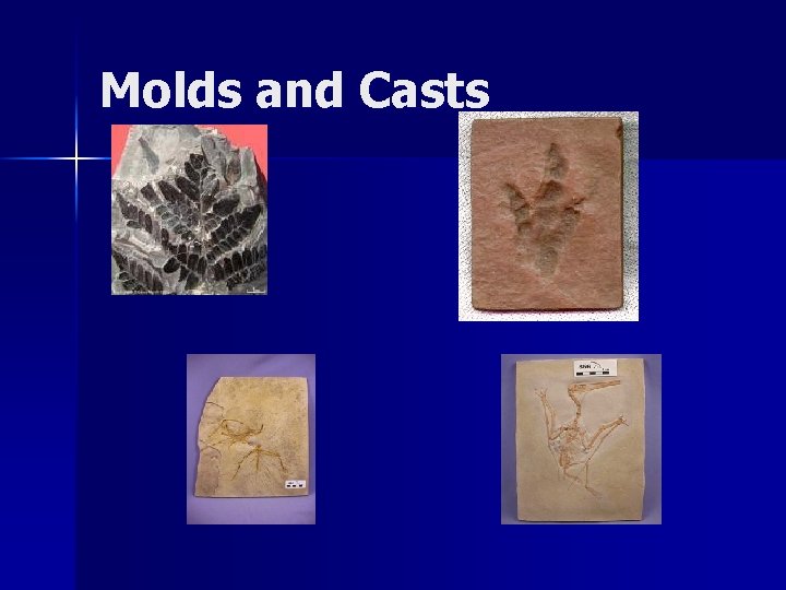 Molds and Casts 