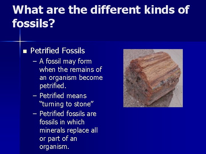 What are the different kinds of fossils? n Petrified Fossils – A fossil may