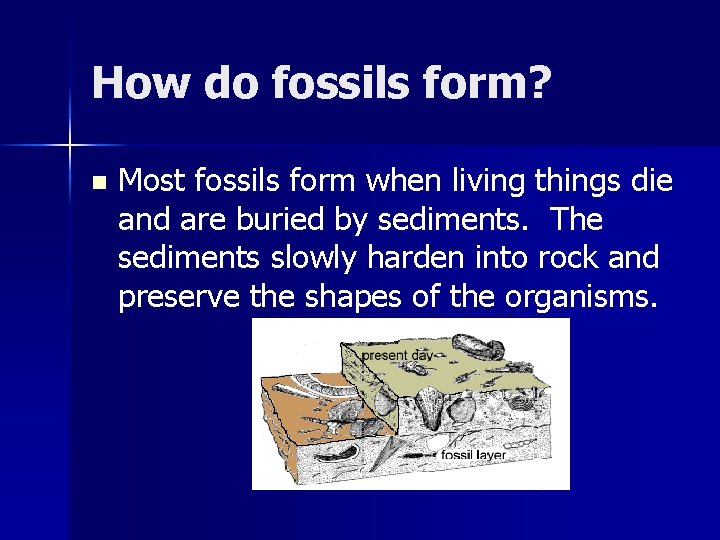 How do fossils form? n Most fossils form when living things die and are