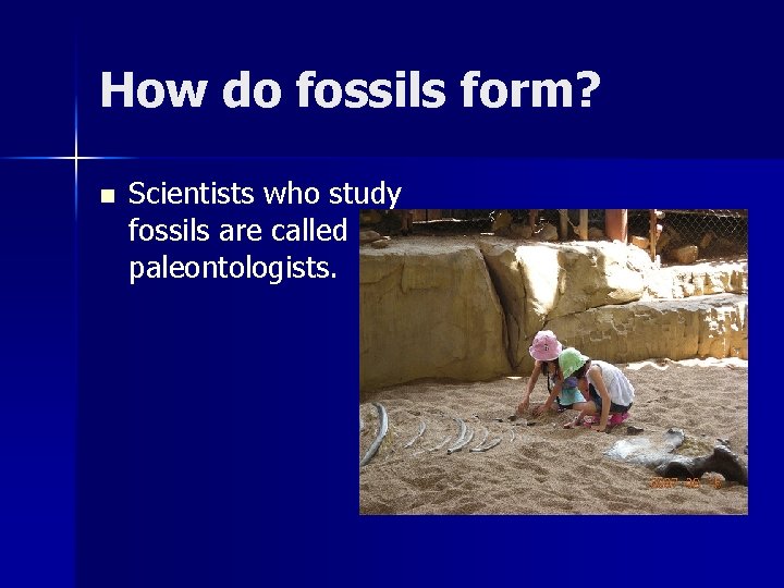 How do fossils form? n Scientists who study fossils are called paleontologists. 