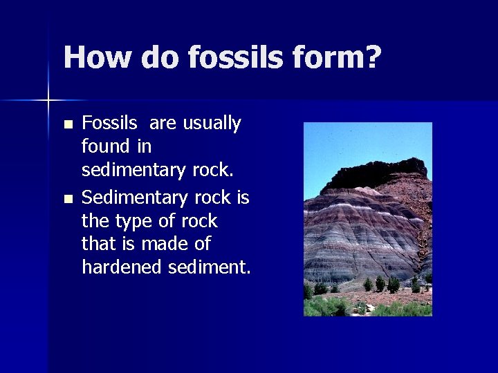 How do fossils form? n n Fossils are usually found in sedimentary rock. Sedimentary