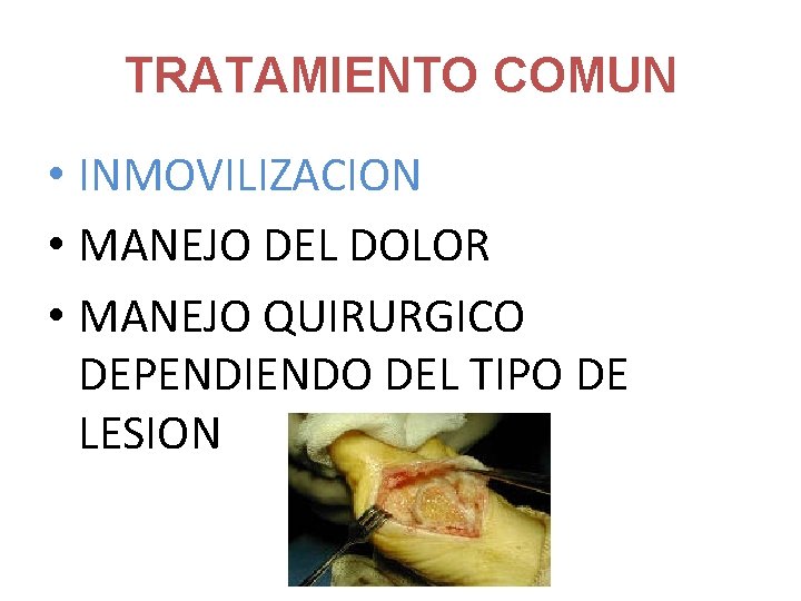 TRATAMIENTO COMUN • INMOVILIZACION • MANEJO DEL DOLOR • MANEJO QUIRURGICO DEPENDIENDO DEL TIPO