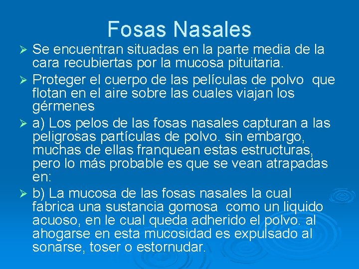 Fosas Nasales Se encuentran situadas en la parte media de la cara recubiertas por