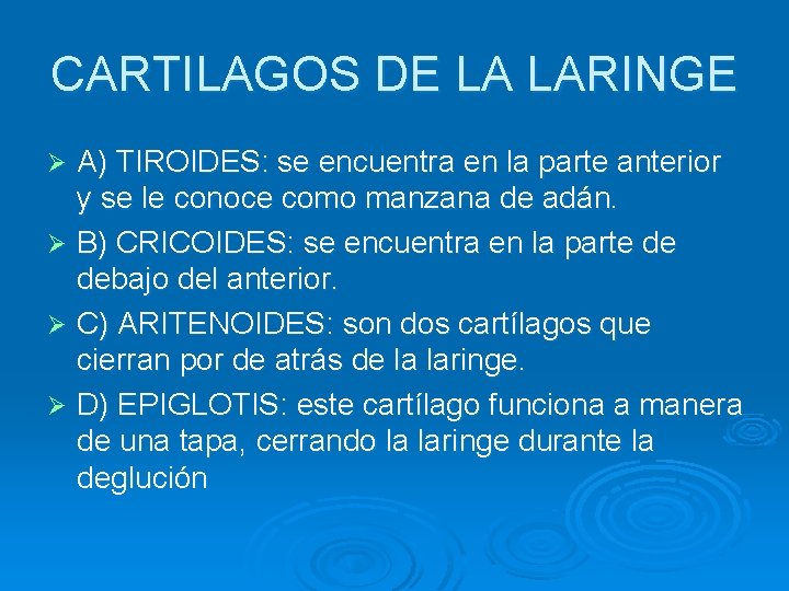 CARTILAGOS DE LA LARINGE A) TIROIDES: se encuentra en la parte anterior y se