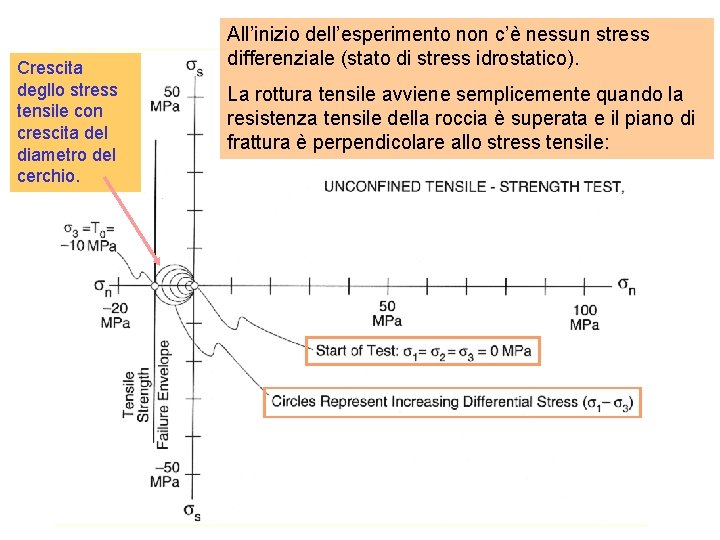 Crescita degllo stress tensile con crescita del diametro del cerchio. All’inizio dell’esperimento non c’è