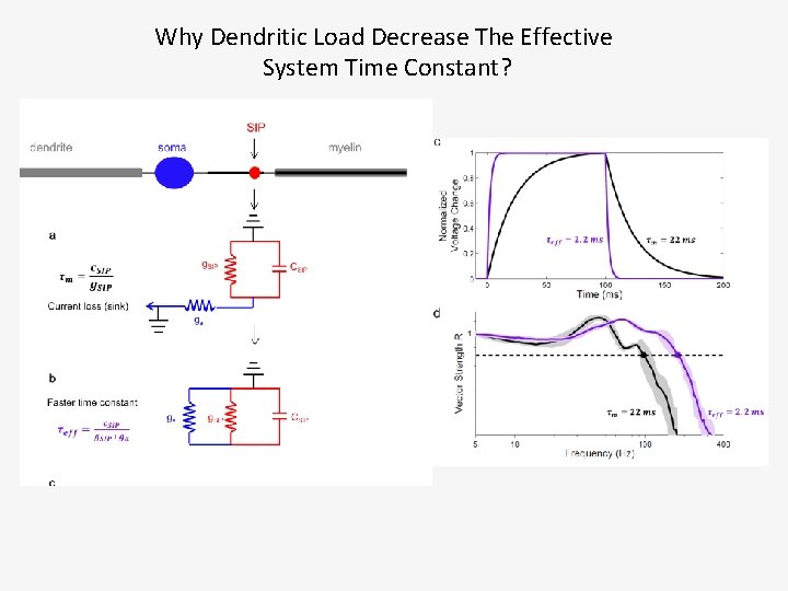 Why Dendritic Load Decrease The Effective System Time Constant? 