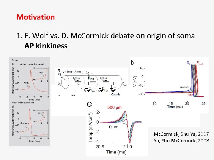 Motivation 1. F. Wolf vs. D. Mc. Cormick debate on origin of soma AP