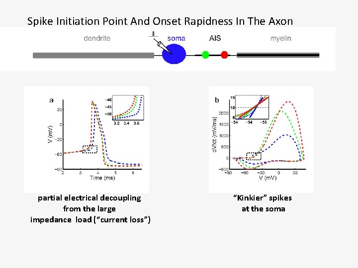 Spike Initiation Point And Onset Rapidness In The Axon partial electrical decoupling from the