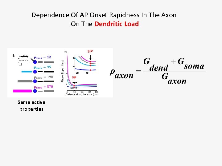 Dependence Of AP Onset Rapidness In The Axon On The Dendritic Load Same active