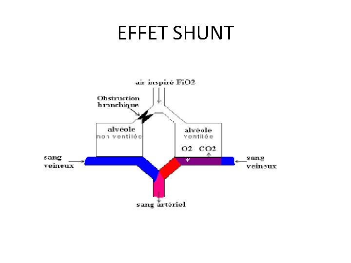 EFFET SHUNT 