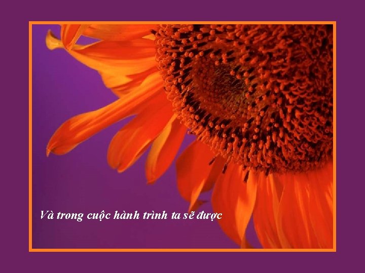 Và trong cuộc hành trình ta sẽ được 