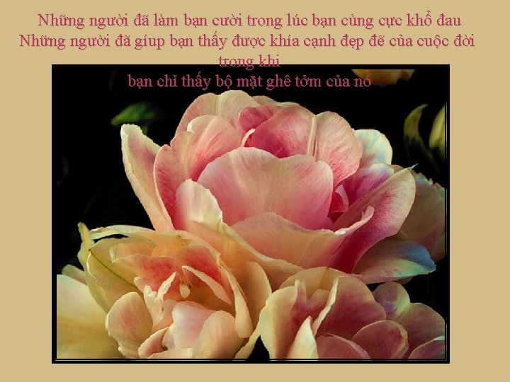 Những người đã làm bạn cười trong lúc bạn cùng cực khổ đau Những