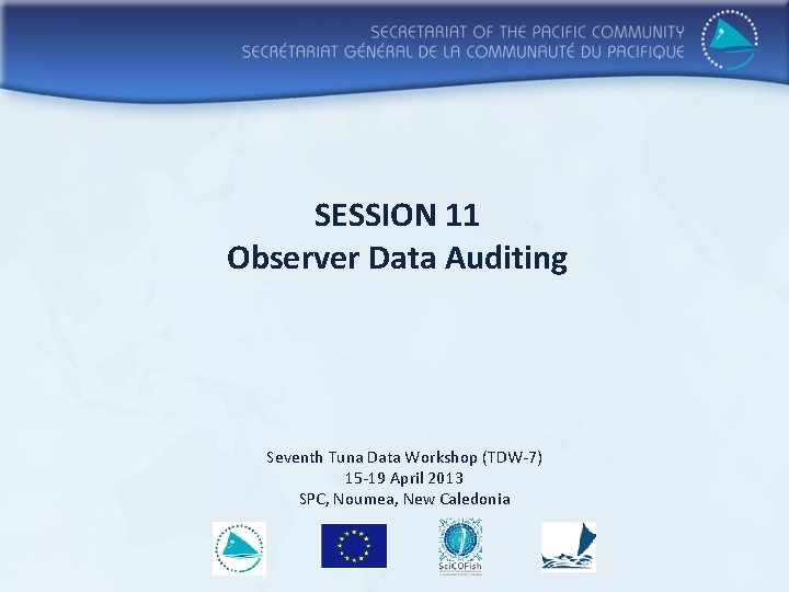 SESSION 11 Observer Data Auditing Seventh Tuna Data Workshop (TDW-7) 15 -19 April 2013