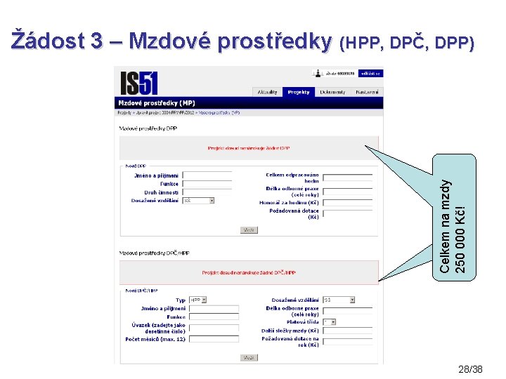 Celkem na mzdy 250 000 Kč! Žádost 3 – Mzdové prostředky (HPP, DPČ, DPP)