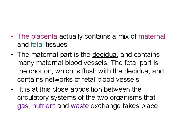  • The placenta actually contains a mix of maternal and fetal tissues. •