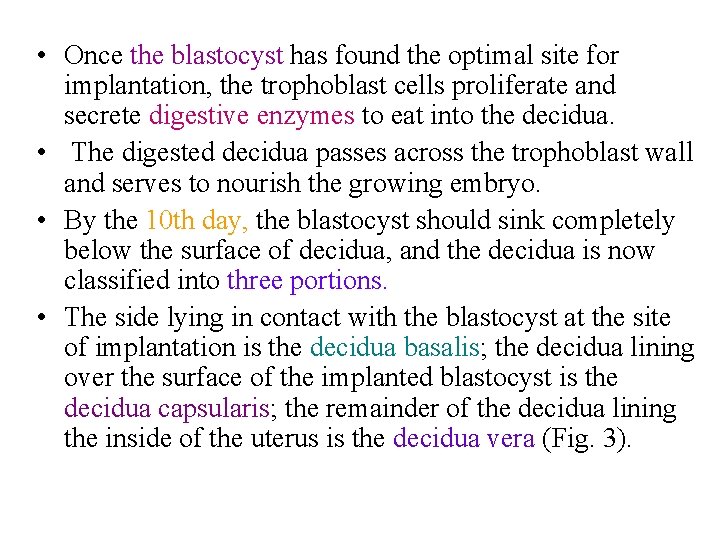  • Once the blastocyst has found the optimal site for implantation, the trophoblast