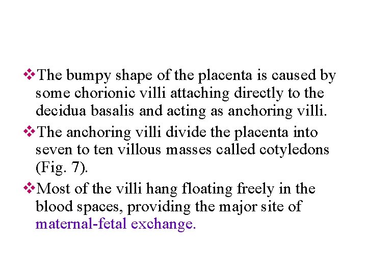v. The bumpy shape of the placenta is caused by some chorionic villi attaching