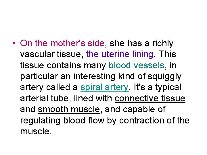  • On the mother's side, she has a richly vascular tissue, the uterine