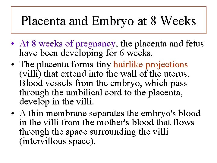 Placenta and Embryo at 8 Weeks • At 8 weeks of pregnancy, the placenta