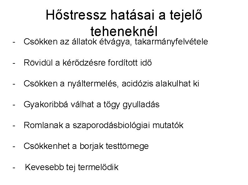 Hőstressz hatásai a tejelő teheneknél - Csökken az állatok étvágya, takarmányfelvétele - Rövidül a