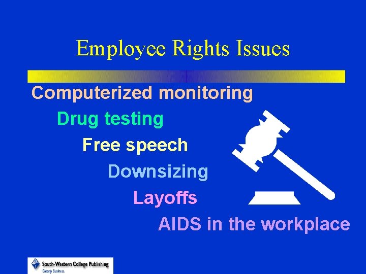 Employee Rights Issues Computerized monitoring Drug testing Free speech Downsizing Layoffs AIDS in the