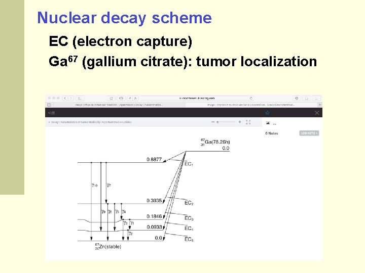 Nuclear decay scheme EC (electron capture) Ga 67 (gallium citrate): tumor localization 