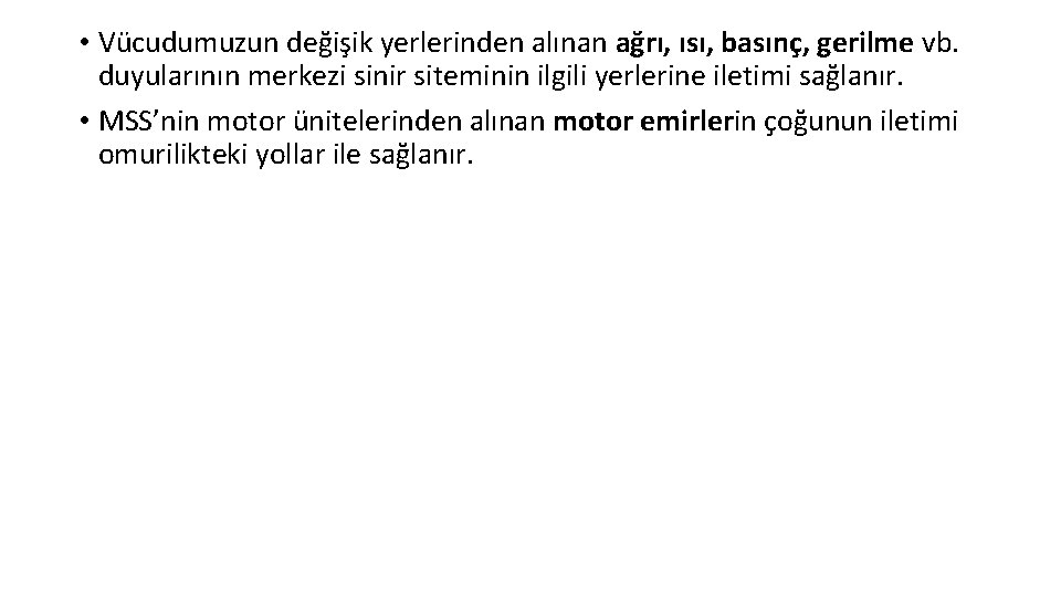  • Vücudumuzun değişik yerlerinden alınan ağrı, ısı, basınç, gerilme vb. duyularının merkezi sinir