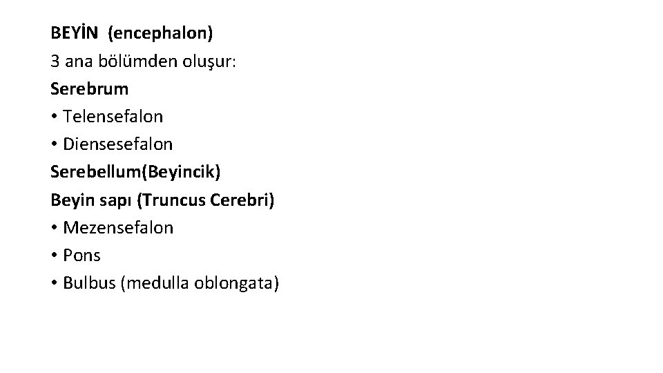 BEYİN (encephalon) 3 ana bölümden oluşur: Serebrum • Telensefalon • Diensesefalon Serebellum(Beyincik) Beyin sapı