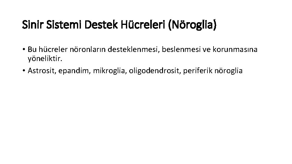Sinir Sistemi Destek Hücreleri (Nöroglia) • Bu hücreler nöronların desteklenmesi, beslenmesi ve korunmasına yöneliktir.