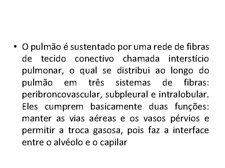 • O pulmão é sustentado por uma rede de fibras de tecido conectivo • O pulmão é sustentado por uma rede de fibras de tecido conectivo