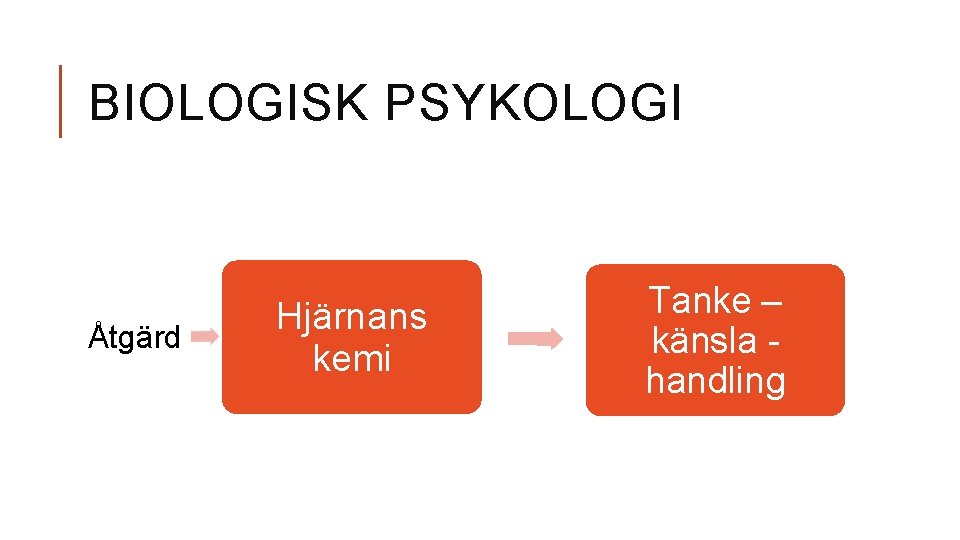 BIOLOGISK PSYKOLOGI Åtgärd Hjärnans kemi Tanke – känsla handling 