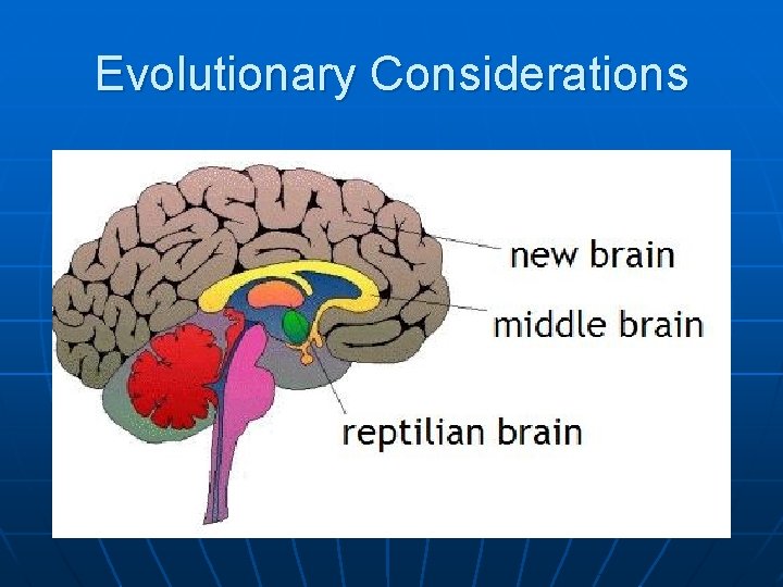 Evolutionary Considerations 