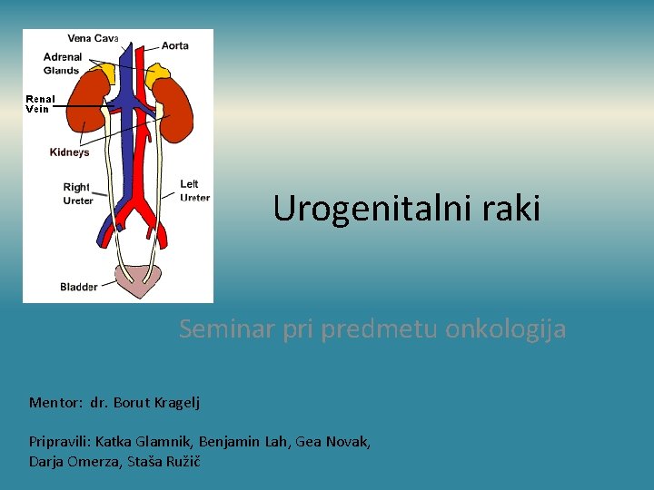 Urogenitalni raki Seminar pri predmetu onkologija Mentor: dr. Borut Kragelj Pripravili: Katka Glamnik, Benjamin