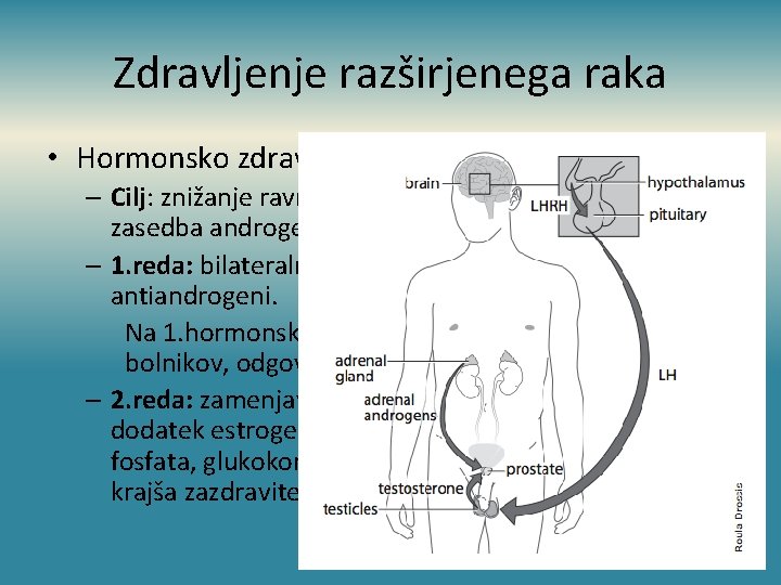 Zdravljenje razširjenega raka • Hormonsko zdravljenje: – Cilj: znižanje ravni moških spolnih hormonov ali